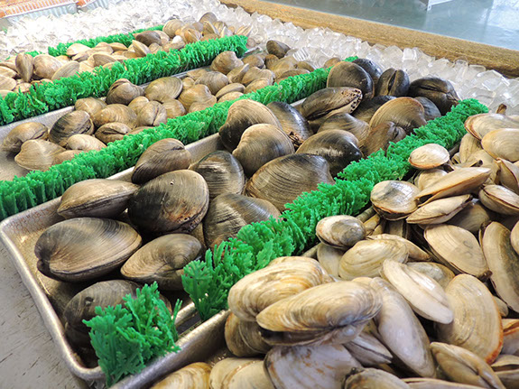 A VARIETY OF SHELLFISH